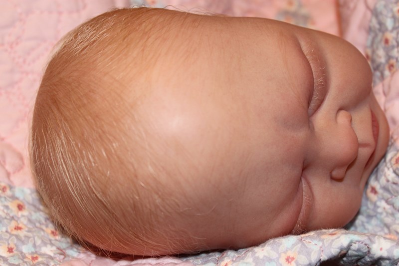 3Rd Place - Sarah Chunn Of Dream Weaver Reborns